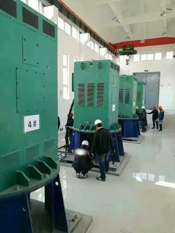 新龙某污水处理厂使用我厂的立式高压电机安装现场